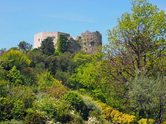 Montignoso, Castel Aghinolfi, tra la fitta coltre di verde